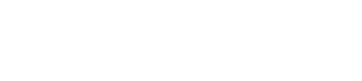 eLucid